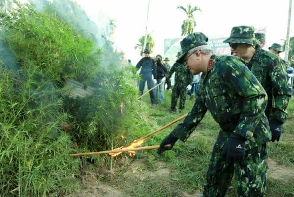 KEPALA BNN RI PIMPIN PEMUSNAHAN LAHAN GANJA DI ACEH UTARA